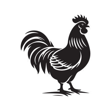 recommend clip art: Chicken silhouette vector illustration