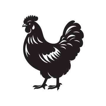 recommend clip art: Chicken silhouette vector illustration