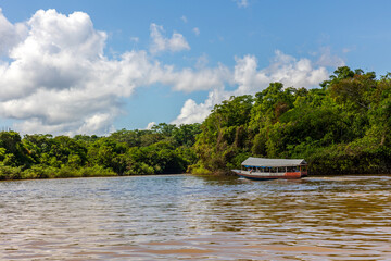 Navigating the Amazon River. In the Amazon jungle, near Iquitos, Peru. South America.