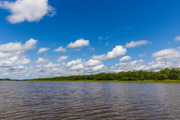 Navigating the Amazon River. In the Amazon jungle, near Iquitos, Peru. South America.