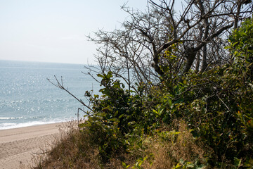 ocean side bluffs in cape cod Massachusetts