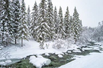 A tranquil winter scene with a river flowing through snowy surroundings, lined with snow-covered...