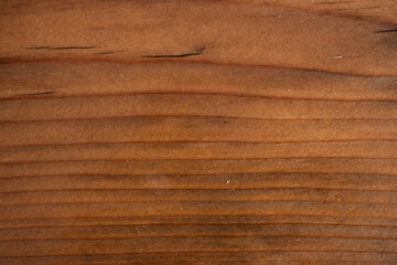 Varnished glossy Wood texture
