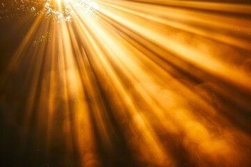 Naklejka premium The sun is shining through the trees, casting a warm glow on the ground, generative ai.