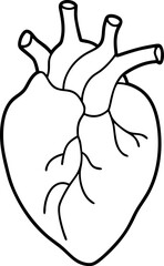 Simple Black and White Anatomical Heart Illustration