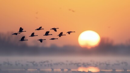 Obraz premium Birds Flying Over Calm Water at Sunrise With Warm Colors in the Sky