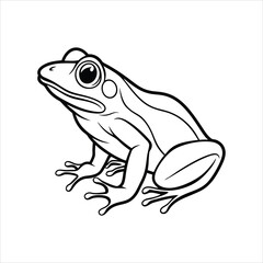 frog on white background