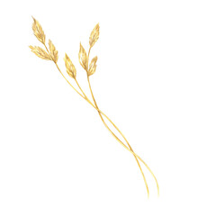Pair of intertwined field grass stalks with delicate heads. This botanical illustration is perfect for use in organic product branding, herbal packaging, and educational botanical materials