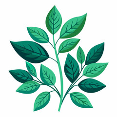 foliage  color  Vector illustration