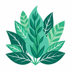 foliage  color  Vector illustration