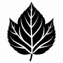  Best leave  Silhouette Vector illustration 