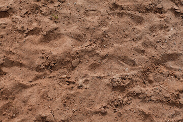 Background of beige, brown beach sand with natural pattern background. top view, flat lay