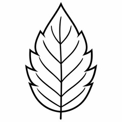 Best  leave  line art Silhouette Vector illustration
