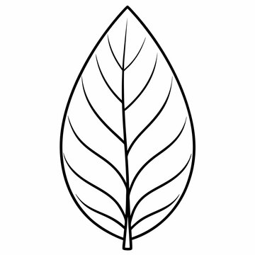 recommend clip art: Best  leave  line art Silhouette Vector illustration
                    
