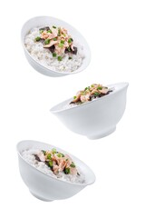 Rice bowl with salmon flakes, nori and scallion on a white isolated background