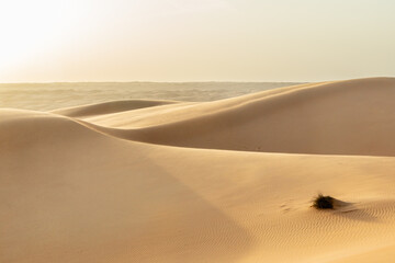 Big orange desert sand dunes in the middle of Wahiba desert, Oman