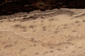 Expensive vintage furniture. The table is covered with epoxy resin and varnished. Luxury quality wood processing. Wooden table on a dark background. Black river made of epoxy resin.