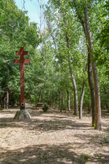 Summer landscape of Tisza valley near the confluence with Mures river, Szeged, Hungary, Europe