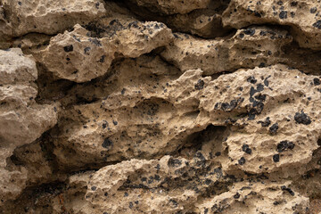 A close up of the textured surface of a weathered rock