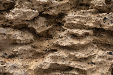 Fototapeta premium Close up of weathered and eroded rock face showcasing the intricate patterns of nature