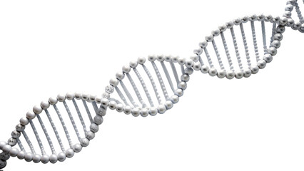 DNA strand model with silver and white beads isolated on transparent background