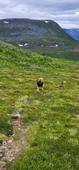 male hiker photographing the fjord of Isfjorden close to Massvassbu in Andalsnes Norway on a cold summer day