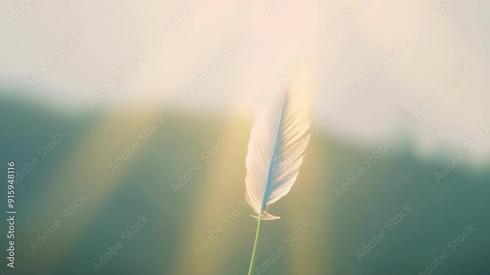 Poster A feather gently floating through a misty morning capturing the tranquil atmosphere of a new day.
