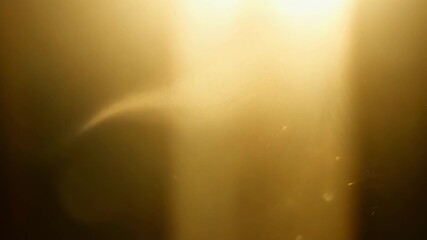 In a dimly lit room the sunlight filters through a thin layer of dust revealing a delicate shimmering layer of airborne particles that appear almost weightless and delicate.