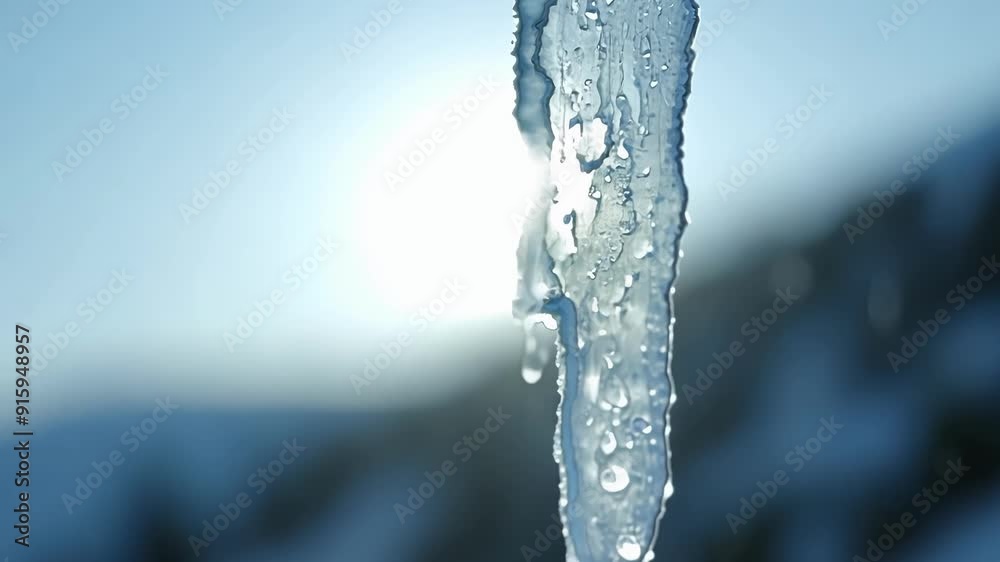 Poster a closeup of an icicle melting in the sunlight capturing the intricate details of the slow dripping 