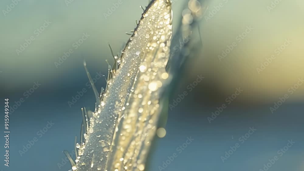 Poster a closeup of a frozen blade of grass with intricate ice crystals coating its surface capturing the m