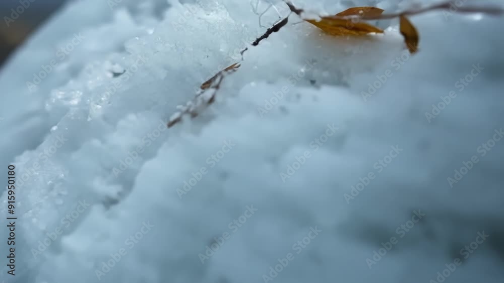 Poster a closeup shot shows the rough grainy texture of the snowballs exterior with hints of dirt and debri