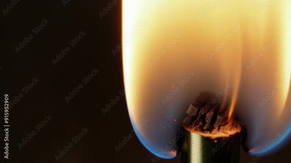 Leinwandbilder slow motion capture of a match sparking and producing thin tendrils of smoke as it quickly burns dow