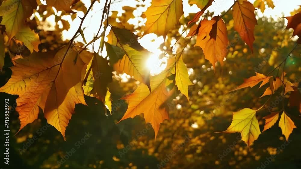 Poster Leaves of different colors shapes and sizes swaying together in a synchronized motion as the wind blows through them.