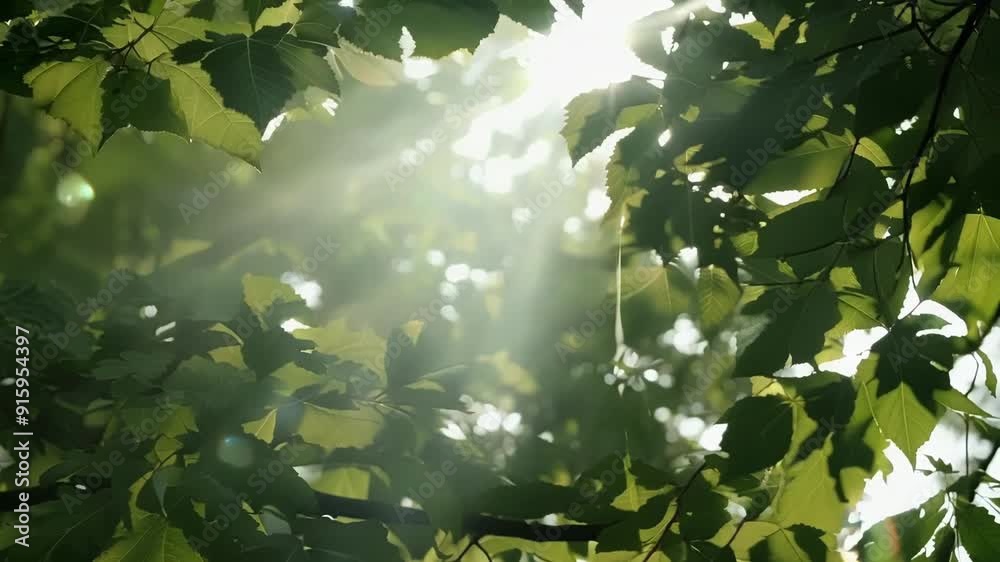 Poster A of leaves swaying in the gentle breeze with the sunlight peeking through the gaps and creating a magical atmosphere.