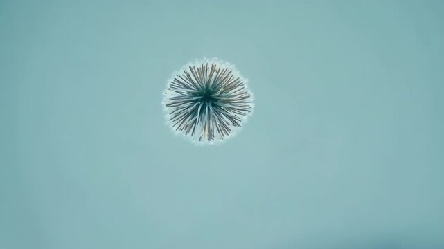 Closeup of a single spore being gently carried away by a passing breeze eventually settling on the ground.