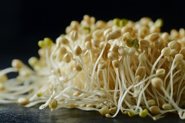 Sprouted Grains , Generative AI