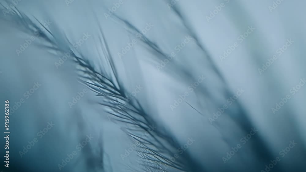 Poster in extreme closeup the camera captures the tiny hairs that line the edges of a moths wings each one 