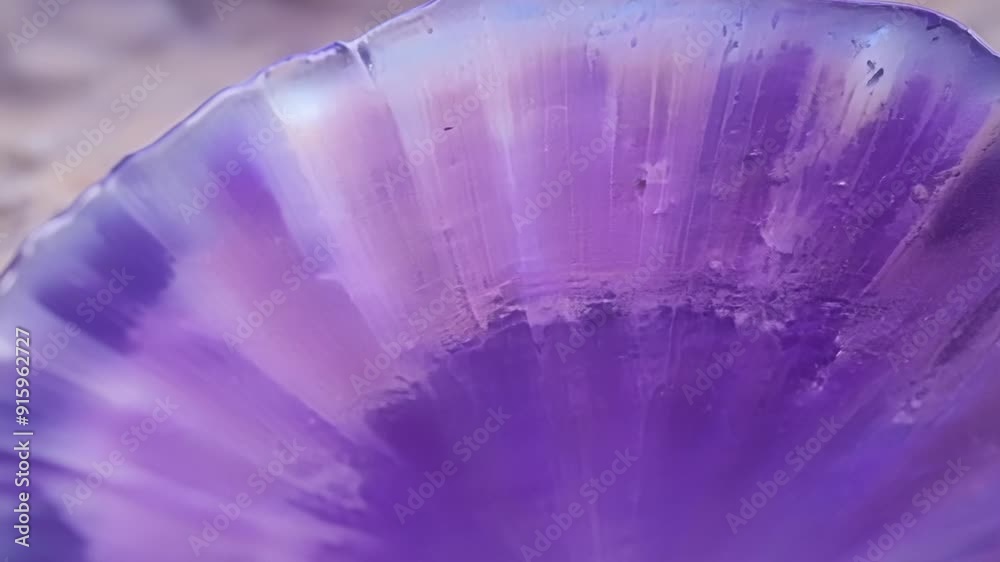 Poster The unique patterns and textures on a sea shell in shades of purple and mauve resembling a watercolor painting.