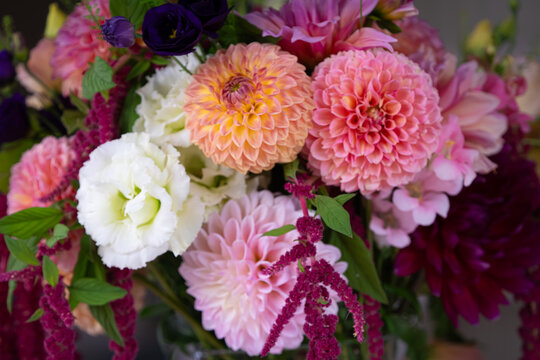 Garden flowers
