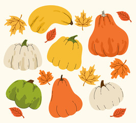 Set of pumpkins of different colors and shapes. Flat vector illustration.