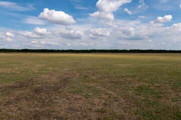 Meadow employed as goat and sheep pasture field on a hot summer day.
