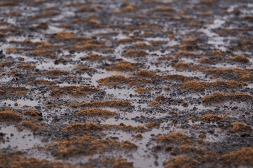Water forming puddles on gravel and dirt road