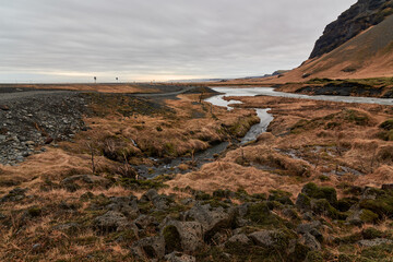 Small creek flowing through icelandic landscape