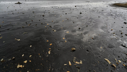 Black volcanic sand reflecting grey sky with scattered stones and pebbles