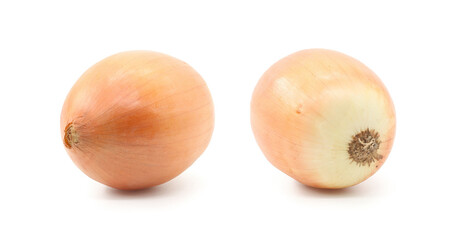 different view side onion set white background