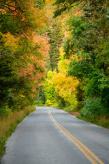 Obraz premium Fall colors in the mountains