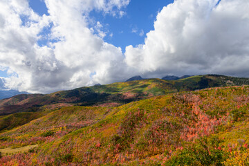 Fall colors in the mountains