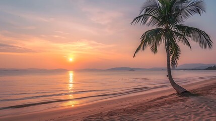 Fototapeta premium Palm Tree Silhouette at Sunset on a Tranquil Beach