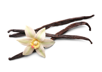 Beautiful vanilla flower and sticks on white background