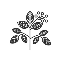 Black and White Illustration of a Plant with Leaves and Berries